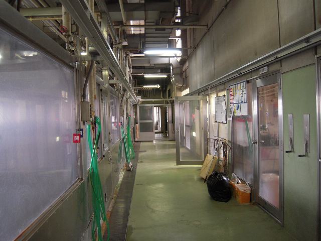 f0225871_2312689.jpg