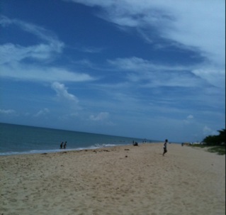 f0084175_14311.jpg