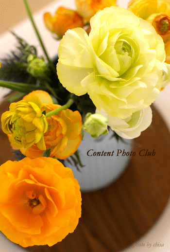 Content photo club ~Lesson1~_f0227975_364948.gif