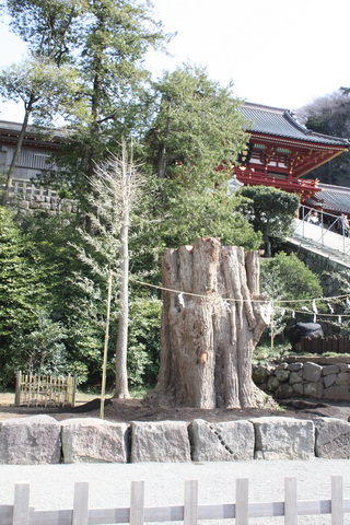 c0215677_6582895.jpg