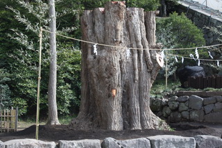 c0215677_703527.jpg