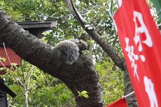c0215677_7132456.jpg
