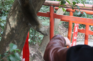 c0215677_7171115.jpg