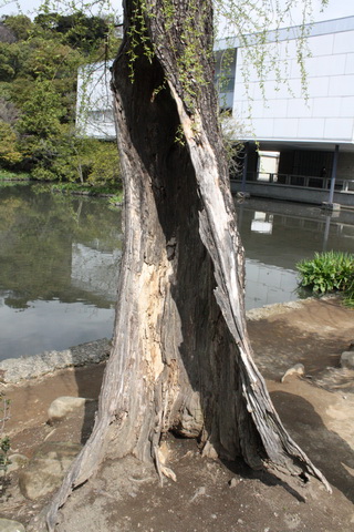 c0215677_7192929.jpg