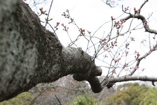 c0215677_723821.jpg