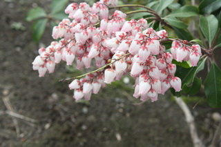 c0215677_7244055.jpg