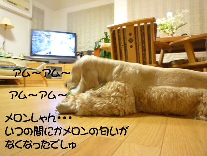f0218182_11215511.jpg
