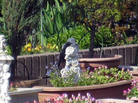 b0182884_1326823.jpg