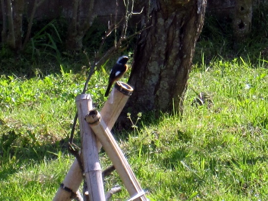 b0182884_13282659.jpg