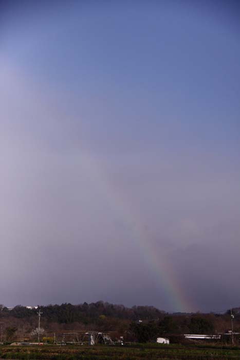 c0177785_5424344.jpg