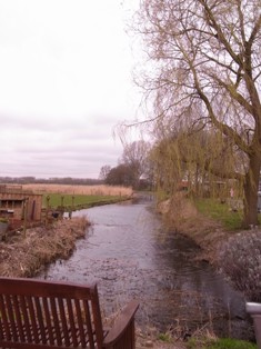 f0169885_1195441.jpg