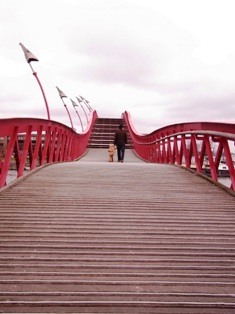 f0169885_1293629.jpg