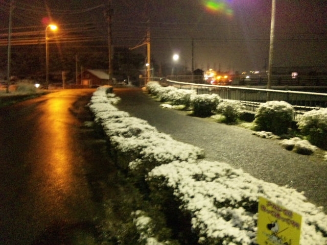 b0094687_08127.jpg