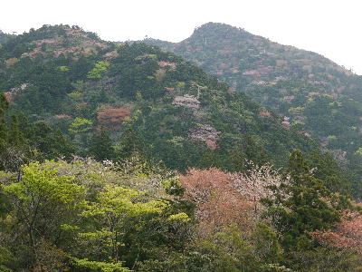 c0171889_23491092.jpg