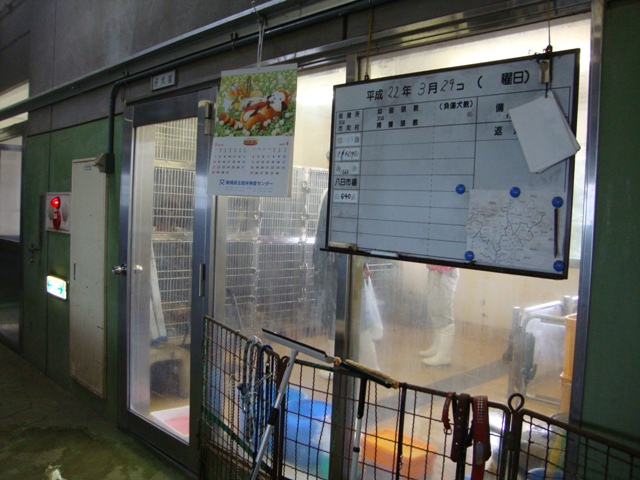 私にできること_a0126590_013588.jpg