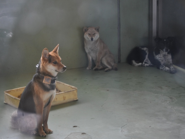 私にできること_a0126590_0353150.jpg