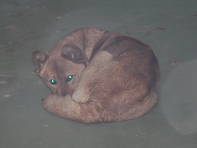 私にできること_a0126590_040466.jpg