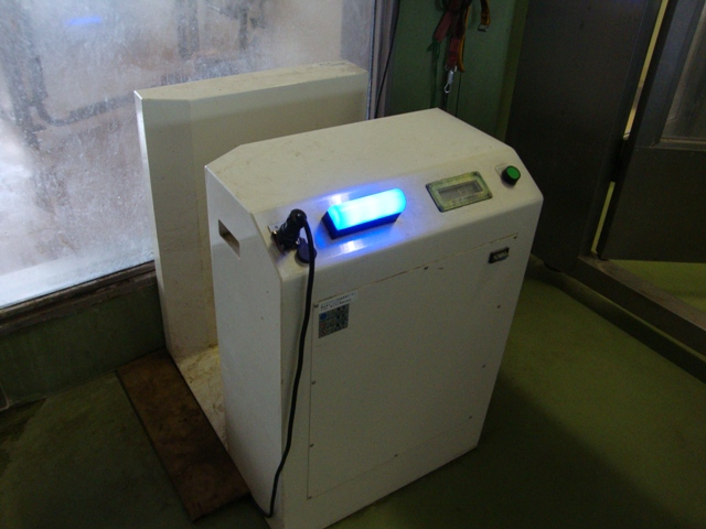 私にできること_a0126590_049518.jpg