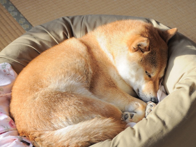 私にできること_a0126590_4375020.jpg