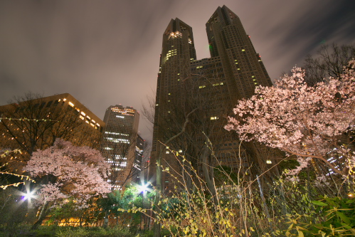 夜の高遠コヒガン桜_c0082191_7274719.jpg