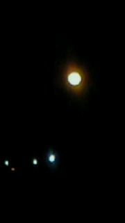 e0161791_1848584.jpg