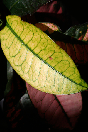 d0100095_9591241.jpg