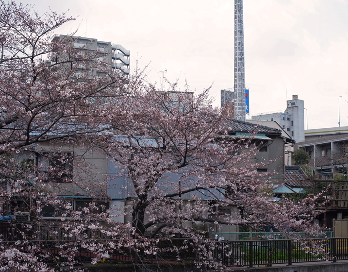 d0134896_13195539.jpg