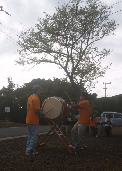 八丈島フリージア祭り開催中_e0089001_2237324.jpg