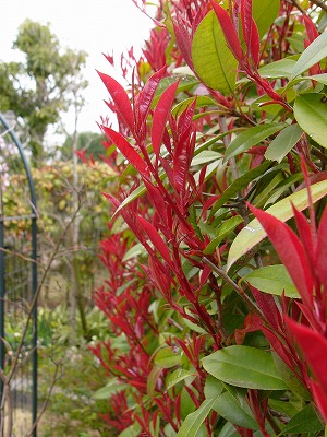 a0123003_17202040.jpg