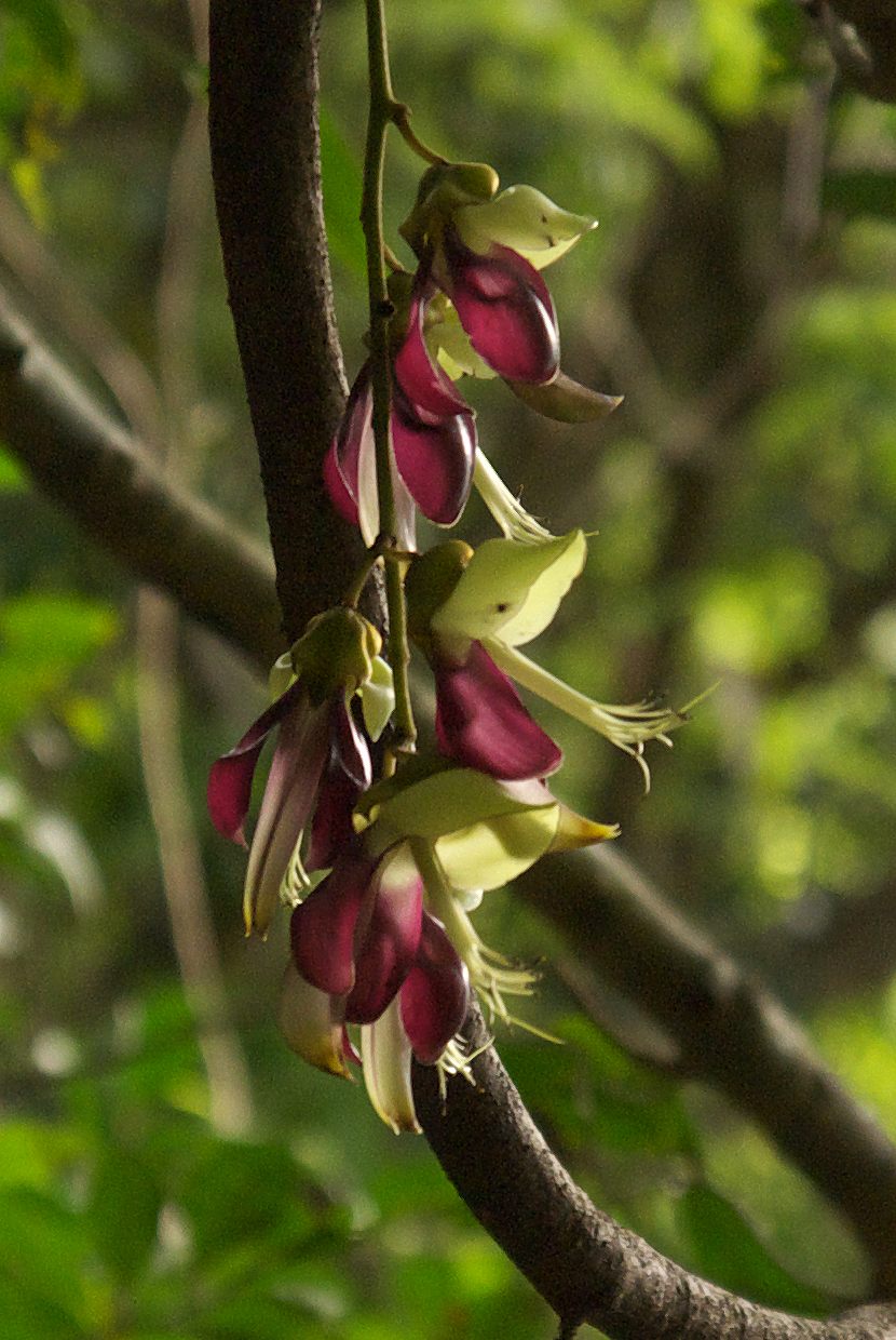 b0174905_614864.jpg