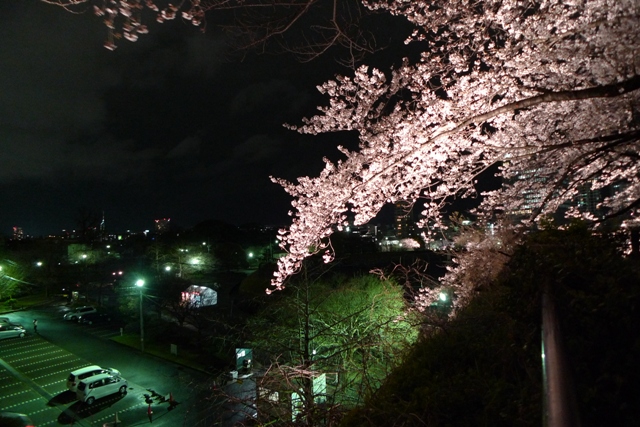 夜桜ウォーキング_a0097006_22365081.jpg