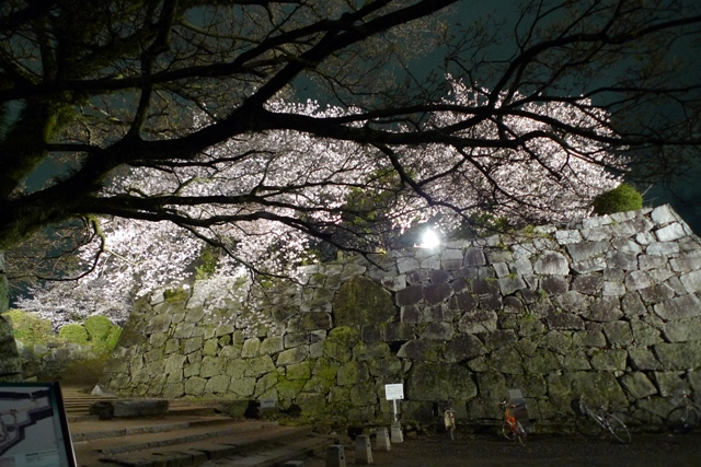 夜桜ウォーキング_a0097006_22372213.jpg