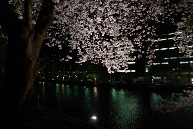 a0097006_22374395.jpg