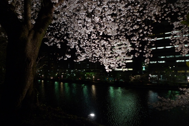 夜桜ウォーキング_a0097006_22374395.jpg