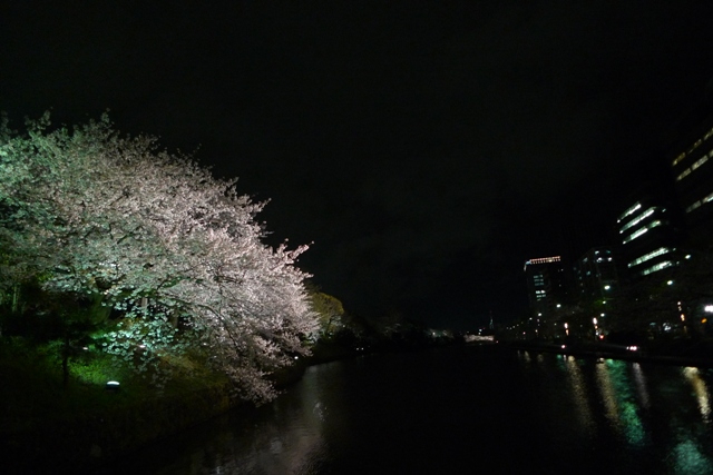 夜桜ウォーキング_a0097006_2238416.jpg