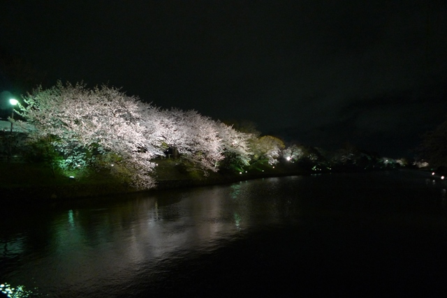 夜桜ウォーキング_a0097006_22391144.jpg