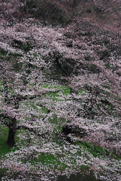 c0156908_2355715.jpg