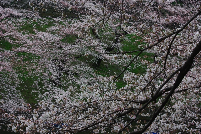 c0156908_23584678.jpg
