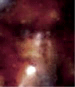 e0103408_1230508.gif