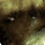 e0103408_12321924.gif