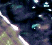 e0103408_1234594.gif
