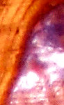 e0103408_12373491.gif