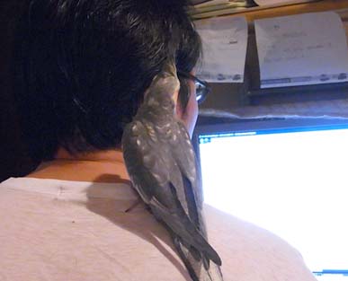 c0133013_22423615.jpg
