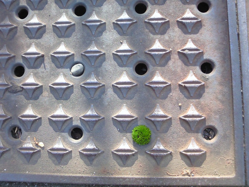 c0229219_193659.jpg