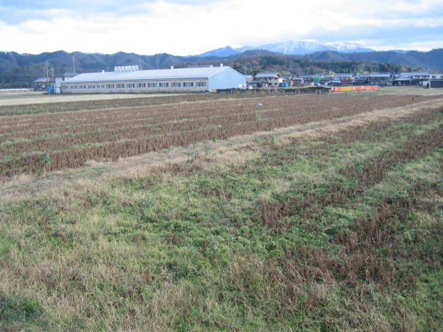 c0200330_19564099.jpg