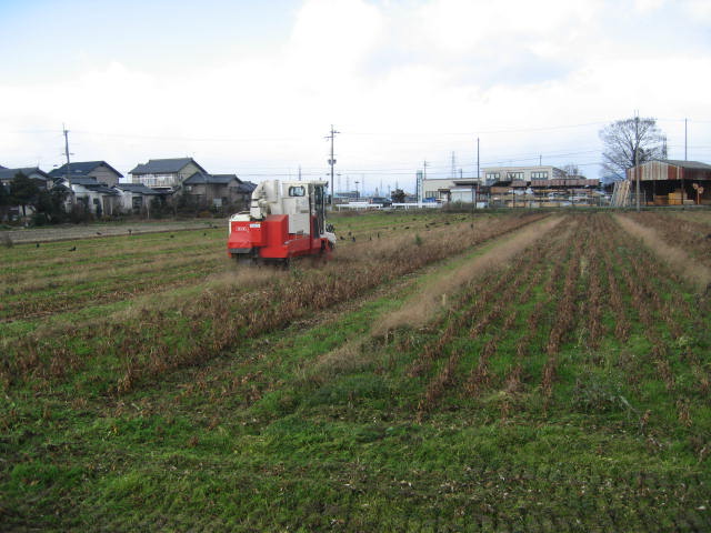 c0200330_19572134.jpg
