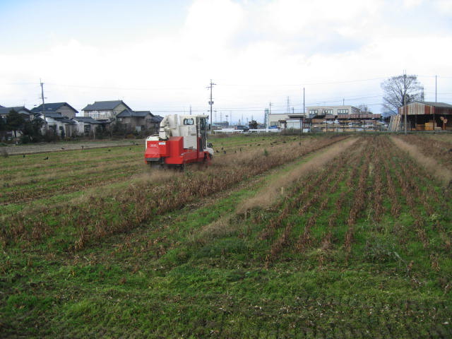 イベント、出店情報 、おしらせ！！_c0200330_19572134.jpg