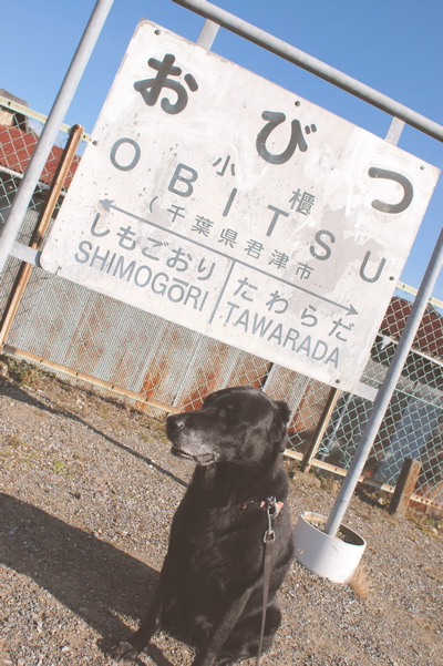 c0039145_2349548.jpg