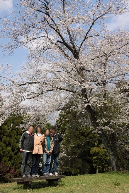 独り占め、いいえ４人占めのお花見　　亀尾城址_b0123359_1471063.jpg