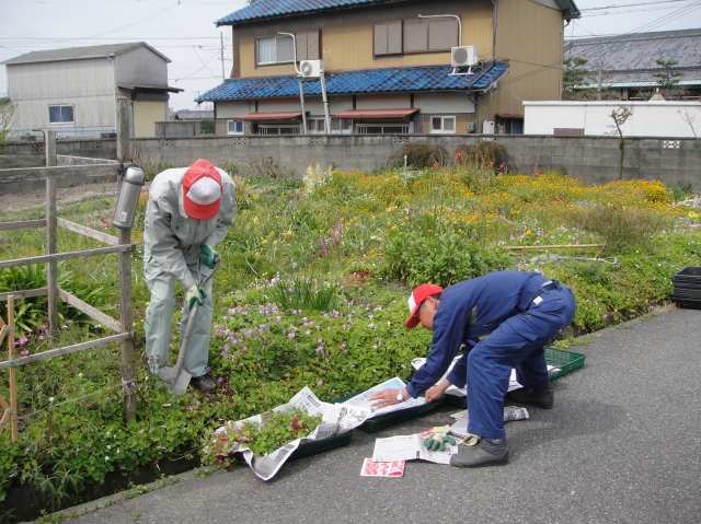 一人作業:ササユリの道作り継続 by (TATE-misaki)_c0108460_2092877.jpg